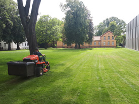 Garten und Landschaftspflege Rasen Mähen