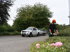 Gartenpflege Vorgarten Hecke schneiden